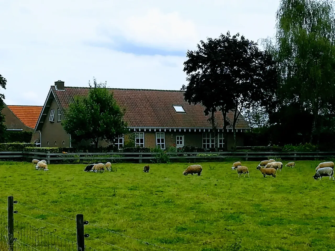 Strände, Küste und Besucherhighlights von Fehmarn in der Nähe von Puttgarden